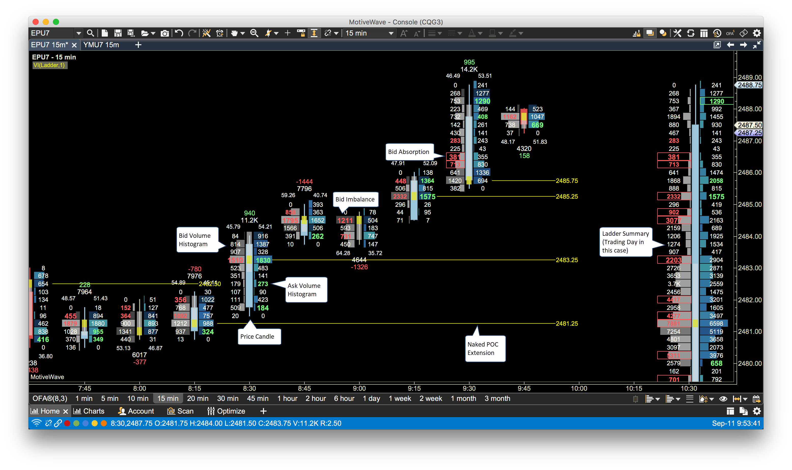 Volume Footprint - Volume Ladder